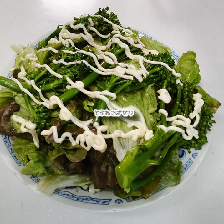 たっぷりレタスと☘️ブロッコリーのサラダ